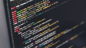 Developer building a custom WordPress plugin with code editor open